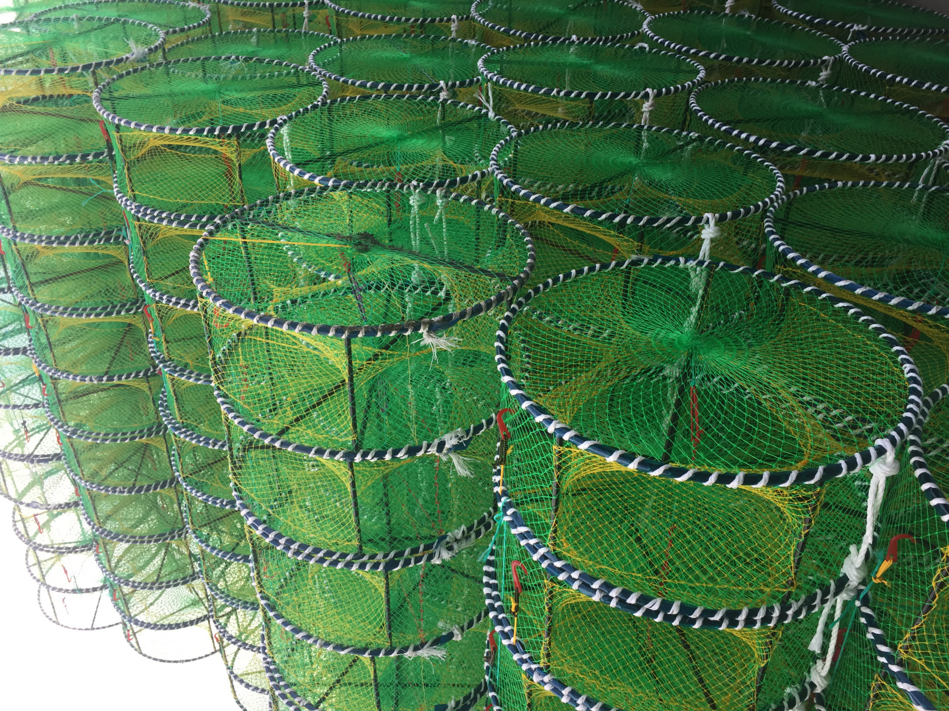 厂家直供蟹笼捕梭子蟹笼捕鱿鱼笼捕海螺笼